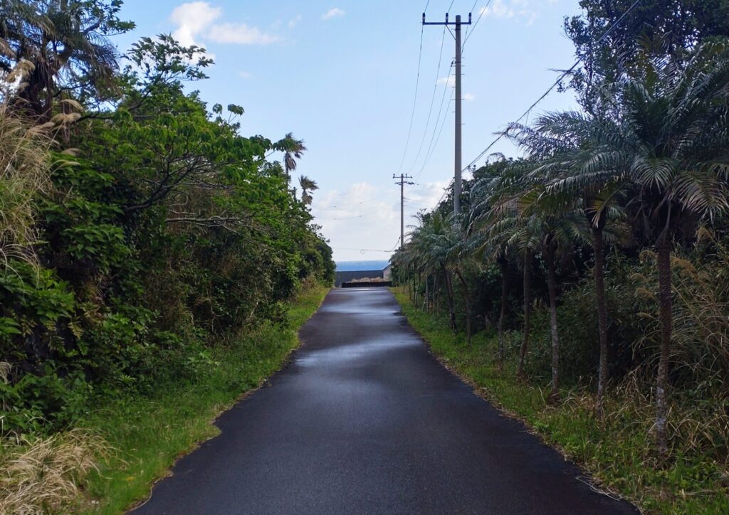 八丈島