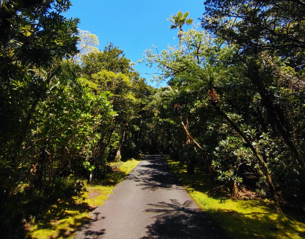 八丈植物公園