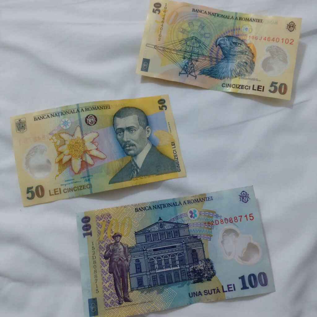 ルーマニアのお金レイ