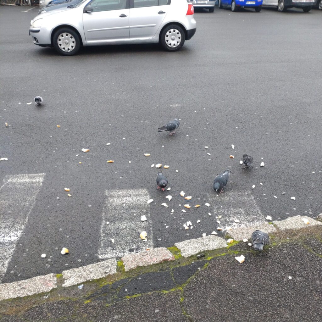 ブラショフ
