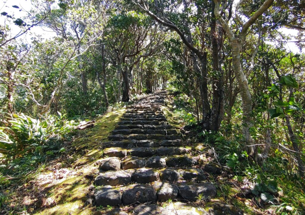 八丈植物公園