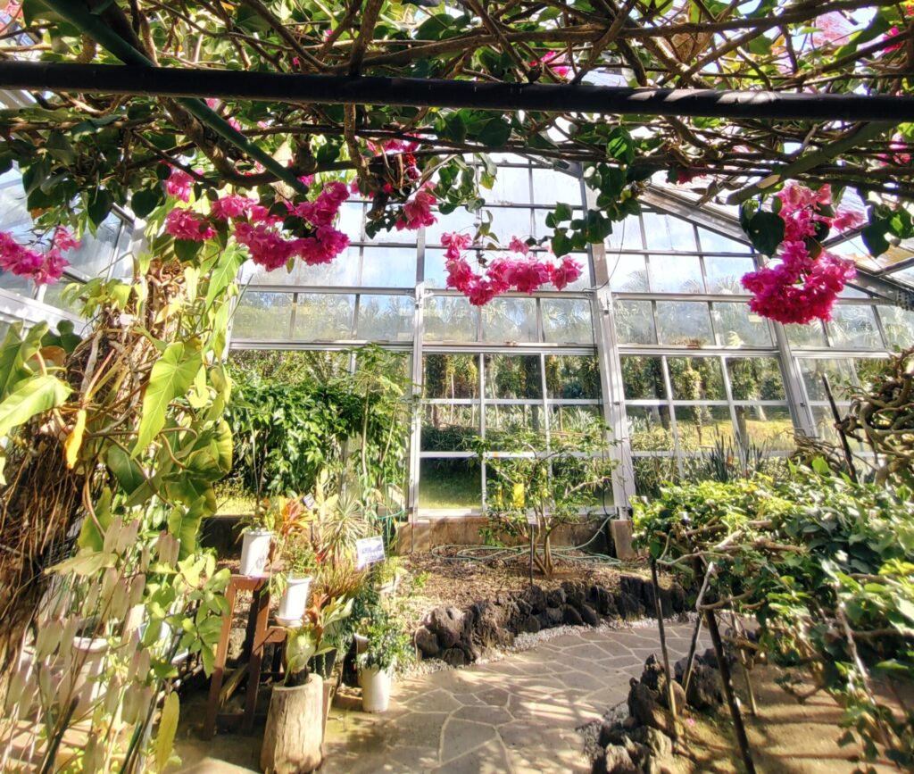 八丈植物公園