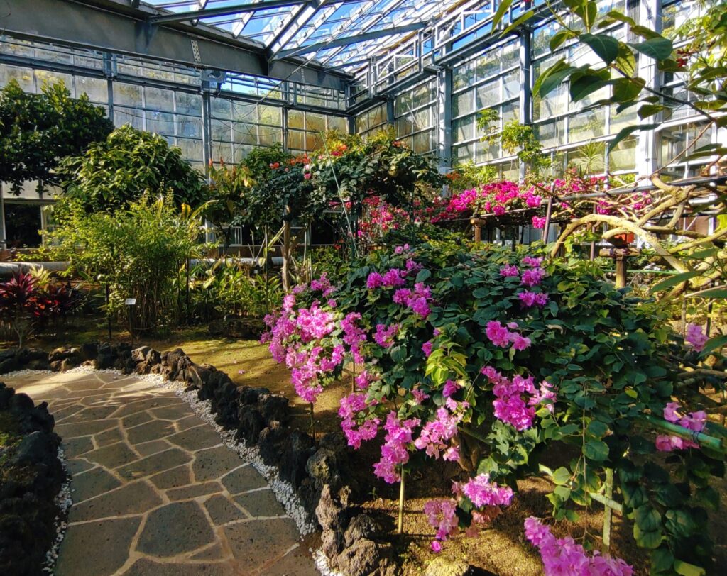 八丈植物公園