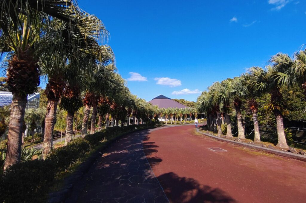 八丈植物公園