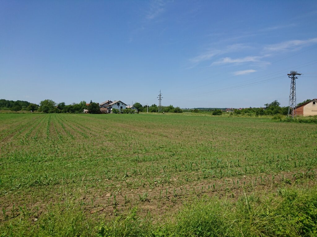 Popovača