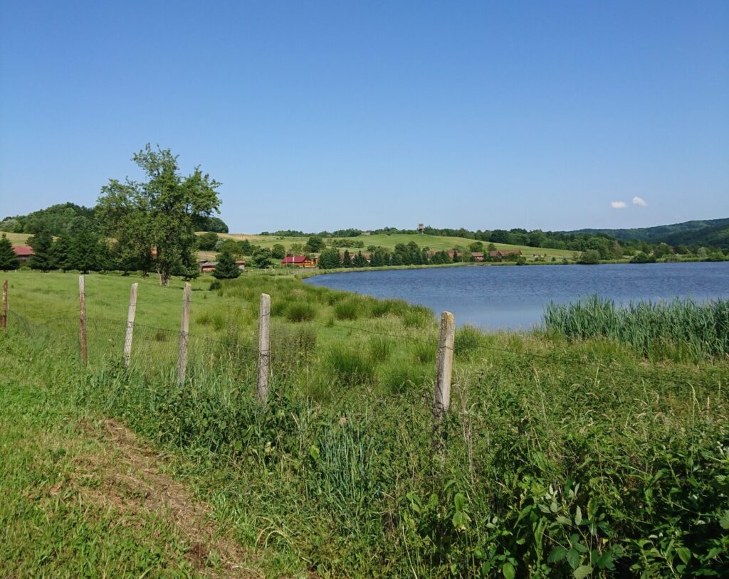 Podgarić