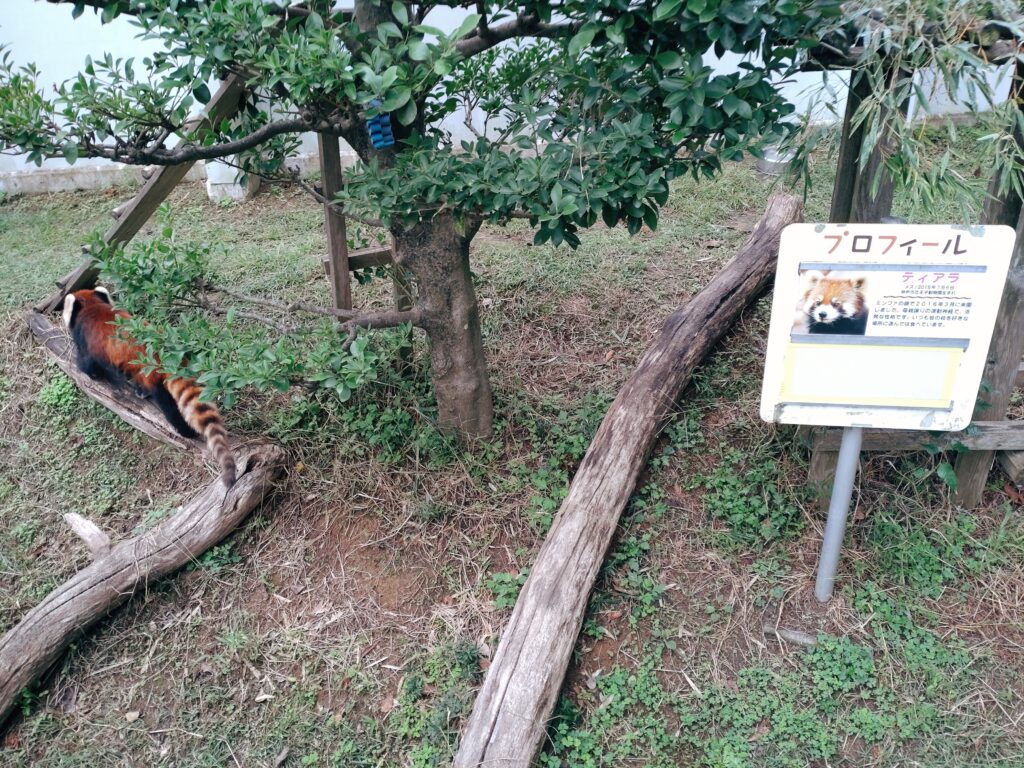西山動物園