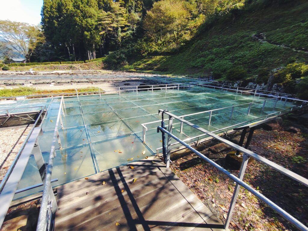 一乗谷朝倉氏遺跡