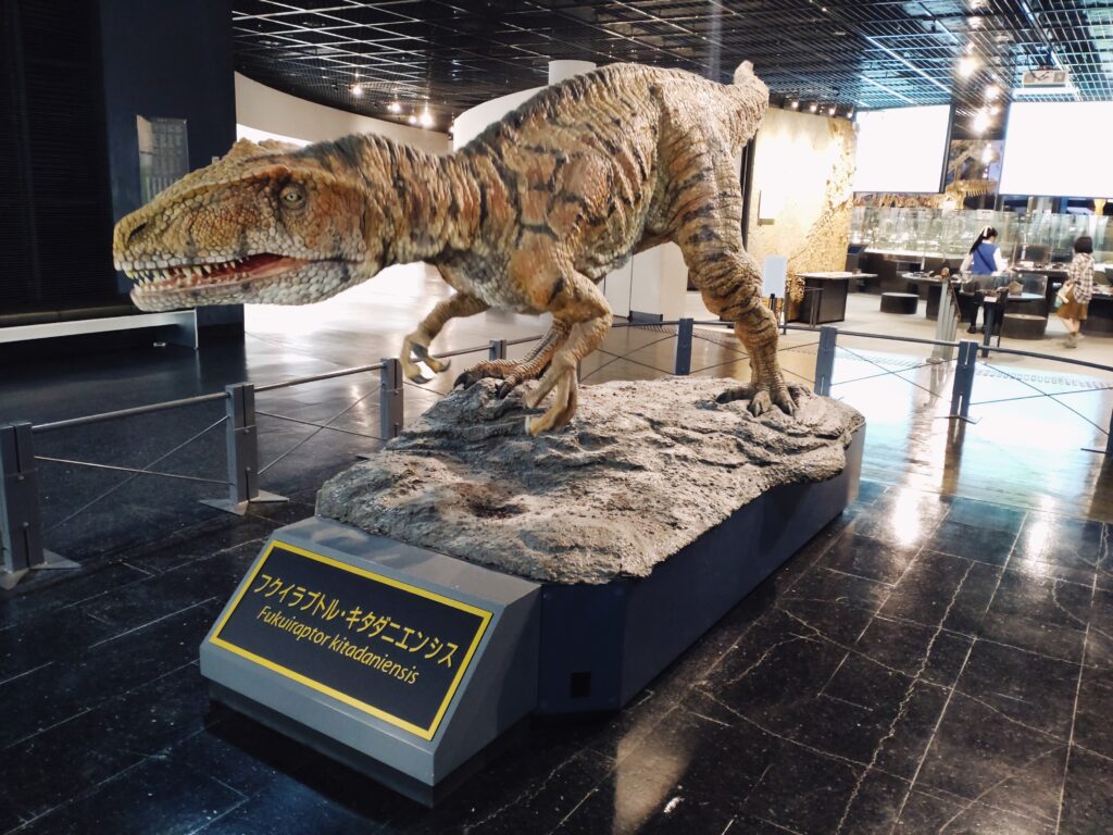 恐竜博物館