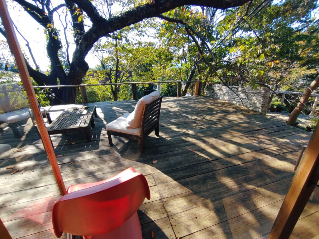 サルヴァトーレ