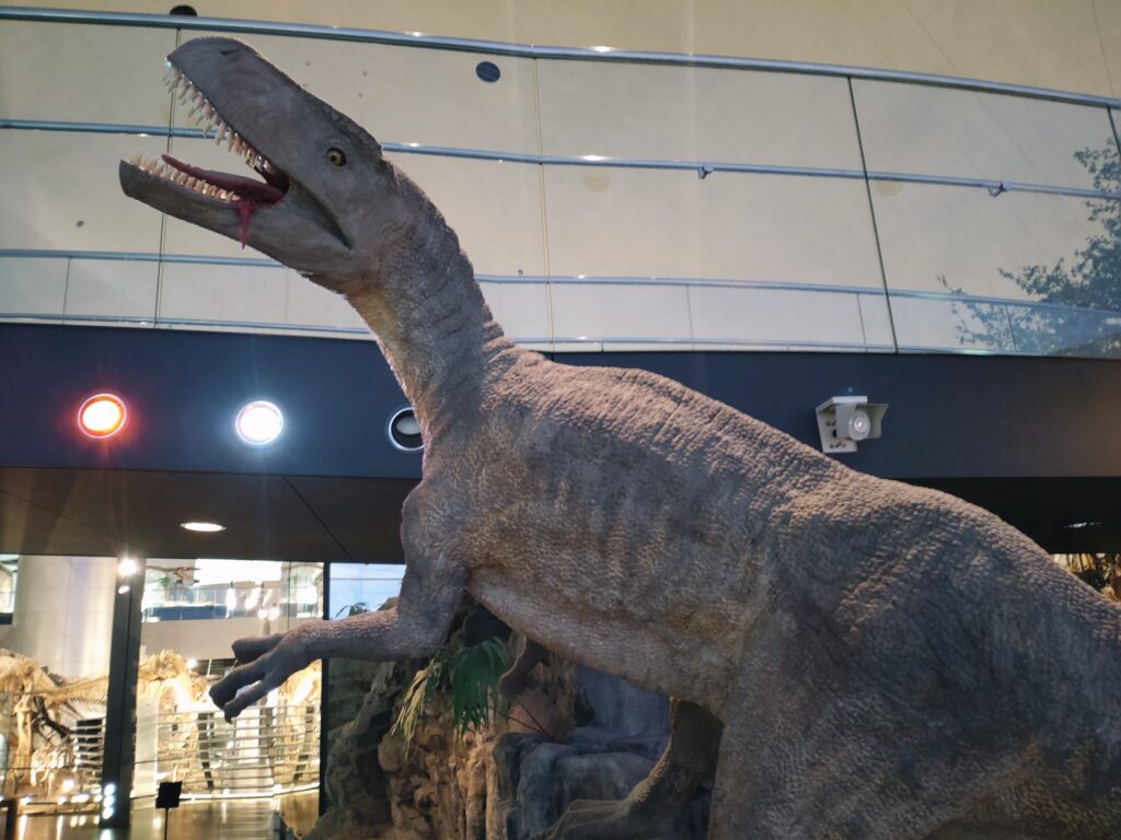 恐竜博物館