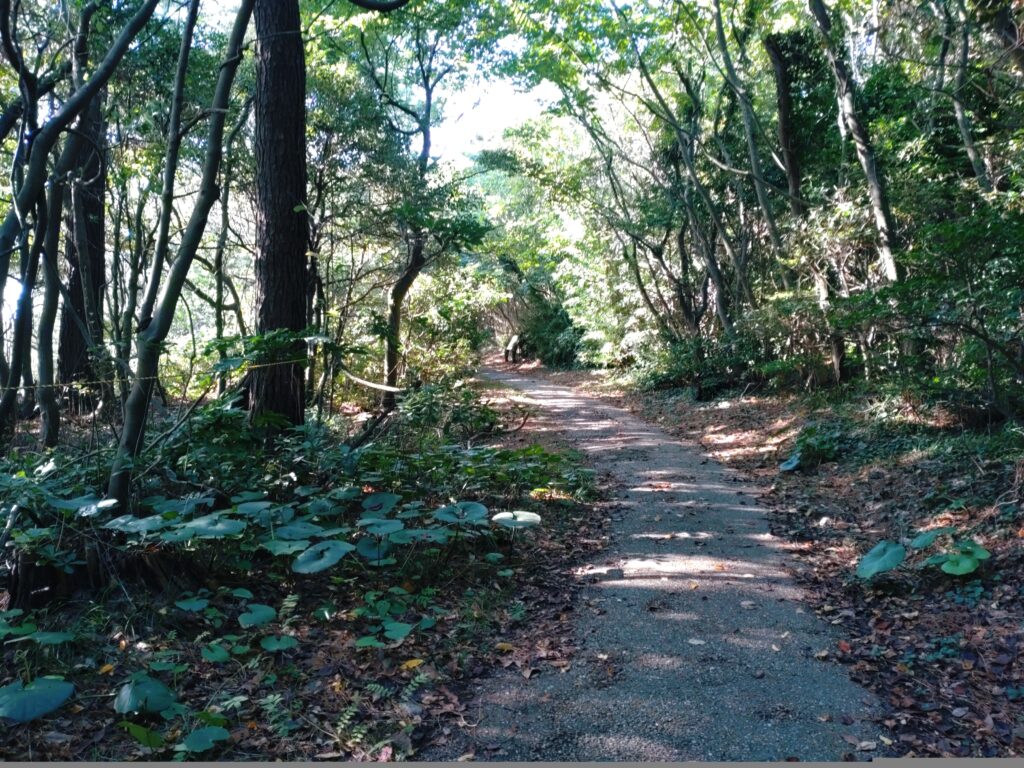 荒磯遊歩道
