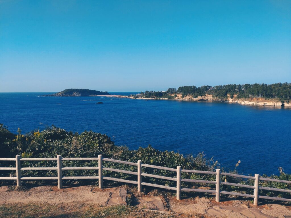 東尋坊恐竜博士