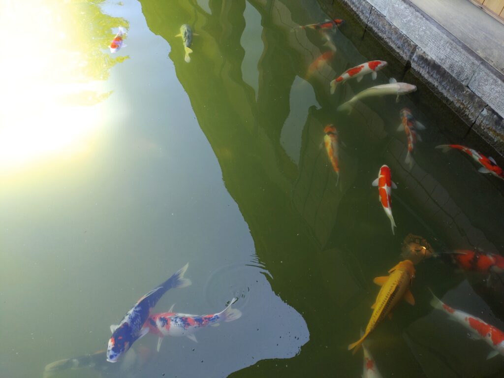 養浩館