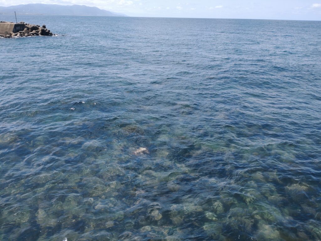 雄島