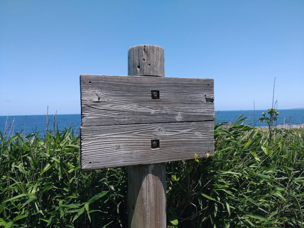 雄島